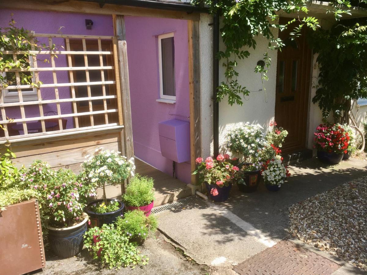 Cute Self-Contained Guest Room With Ensuite And Private Decked Porch In Glastonbury Dış mekan fotoğraf
